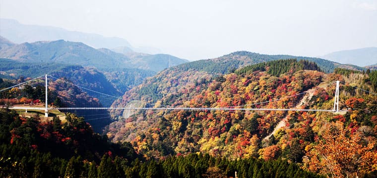 九重夢大吊橋