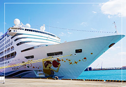 cruise_travel