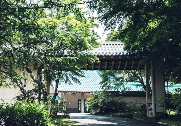 星野 界 日光