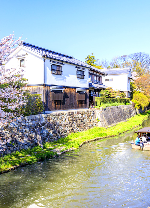 京都柏悅、星音、大阪萬豪 落桜繽紛 三月迎春六日