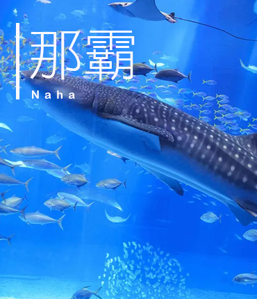 沖繩美麗海水族館之旅