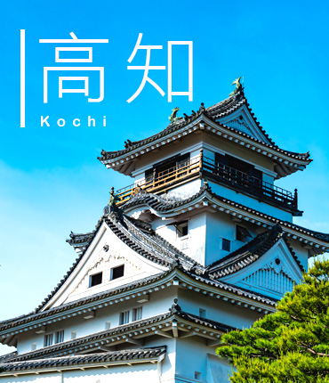 高知