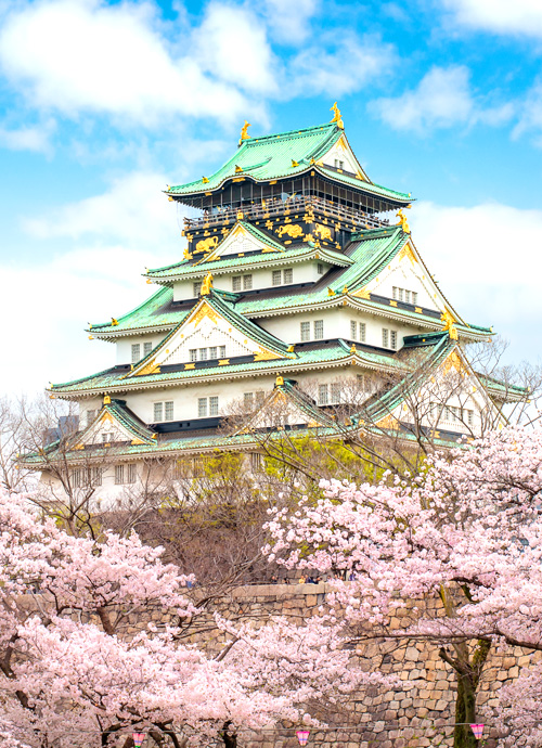 京都柏悅、星音、大阪萬豪 關西 落桜繽紛賞櫻六日
