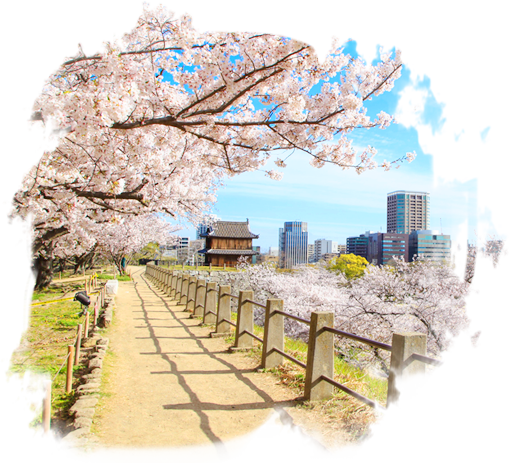 北九州 桜花盛開賞櫻 六日