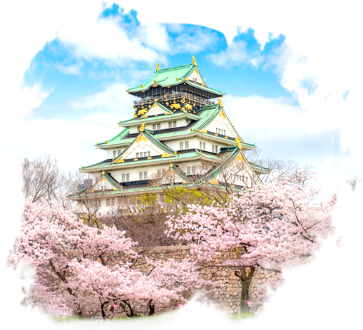 關西 落桜繽紛賞櫻 六日