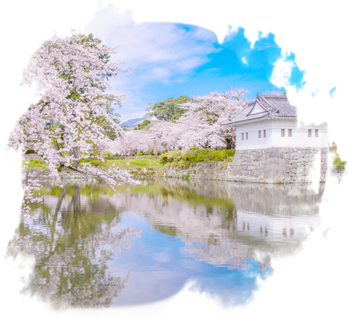 南關東 桜花雪月賞櫻 七日