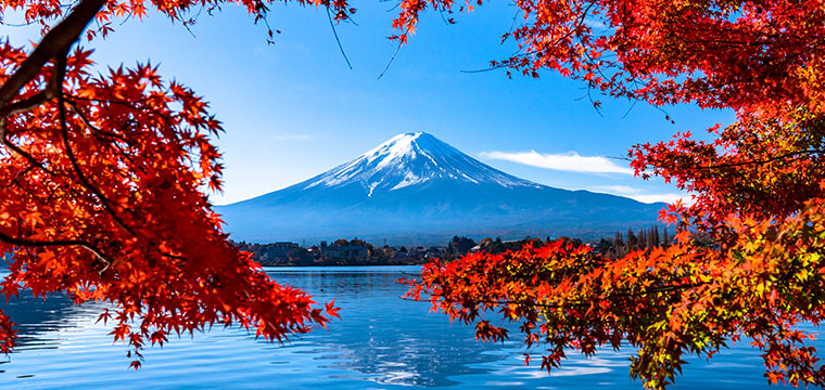 日本各地旅遊淡季差異-楓葉富士山