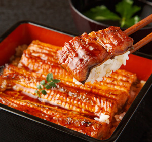 百年老店鰻魚飯