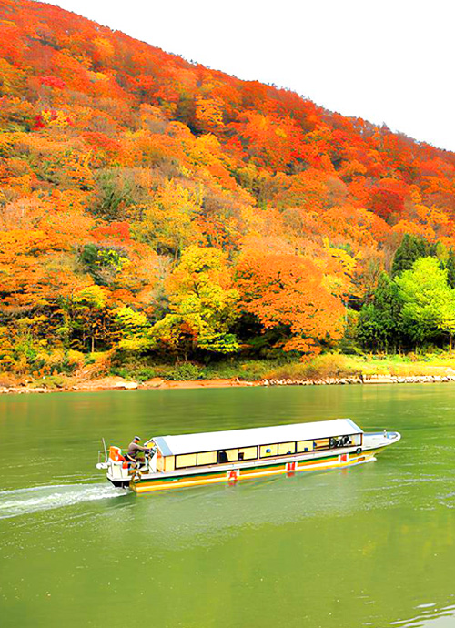 仙壽庵、和之居 角館、橘屋 東北 追紅葉賞楓七日