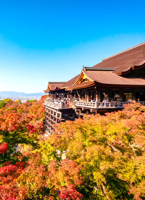 京都 翠嵐、天橋立離宮 星音、MUNI KYOTO by 温故知新 極致紅葉之旅七日
