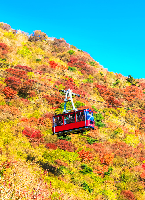 旅亭 半水盧、竹笛、福岡 九州 追紅葉賞楓六日