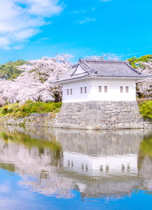 富岳群青、玄 箱根強羅、東京皇宮 南關東 桜花雪月賞櫻七日